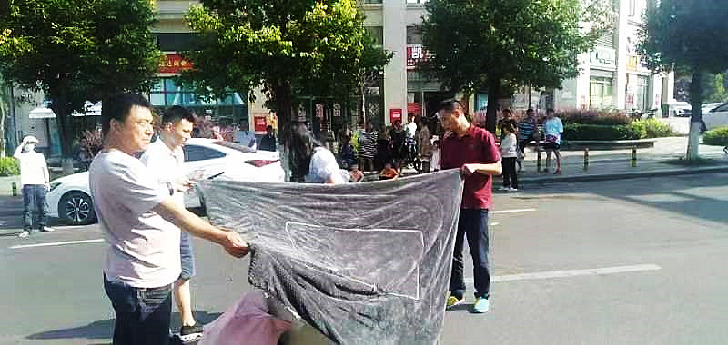 点赞｜烈日下行人被撞倒地，热心公交人全程守护